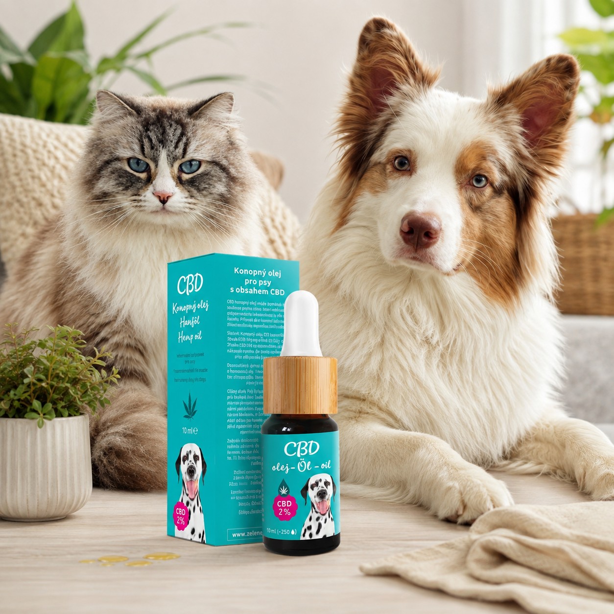 Zelená země CBD olej 2 procenta pro malé psy a kočky 10 ml
